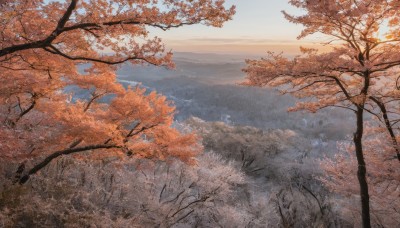 outdoors,sky,day,tree,blue sky,no humans,leaf,nature,scenery,forest,mountain,branch,autumn leaves,maple leaf,autumn,landscape,cloud,water,sunlight,sunset,horizon