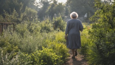 1girl,solo,short hair,long sleeves,1boy,dress,standing,white hair,male focus,outdoors,day,from behind,black footwear,tree,blue dress,sunlight,grass,plant,nature,scenery,forest,walking,light rays,facing away,sunbeam,old,dappled sunlight,old man,holding,japanese clothes,shoes,kimono,blurry