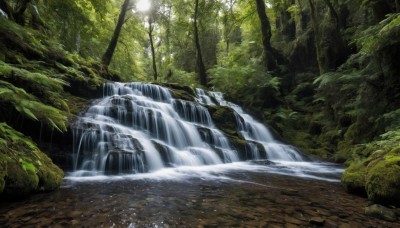 outdoors,day,water,tree,no humans,sunlight,nature,scenery,forest,light rays,rock,river,waterfall,stream,road,landscape,moss