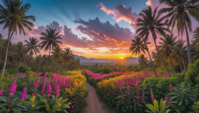 flower, outdoors, sky, cloud, tree, dutch angle, no humans, sunlight, cloudy sky, grass, plant, nature, scenery, sunset, palm tree, sun, horizon