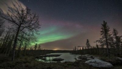 outdoors,sky,cloud,water,tree,no humans,night,grass,star (sky),nature,night sky,scenery,forest,starry sky,reflection,sunset,rock,bare tree,river,landscape,aurora