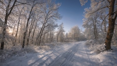 solo,outdoors,sky,day,cloud,tree,blue sky,no humans,shadow,sunlight,grass,nature,scenery,snow,forest,road,winter,bare tree,path,sunset,landscape,sunrise