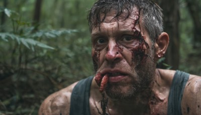 solo,looking at viewer,short hair,black hair,1boy,grey hair,male focus,outdoors,day,tongue,tongue out,blurry,black eyes,tree,blood,blurry background,facial hair,tank top,portrait,nature,beard,forest,blood on face,realistic,stubble,dirty,upper body,lips,depth of field,mouth hold,close-up,smoking,cigar,blue tank top