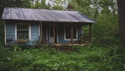 outdoors,day,tree,no humans,window,chair,table,grass,plant,building,nature,scenery,forest,fence,door,bench,bush,architecture,house,east asian architecture,sliding doors,veranda,porch