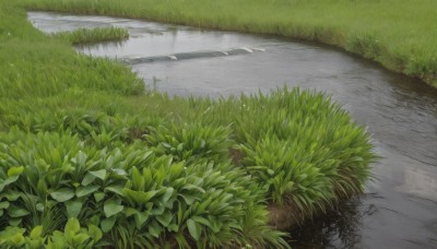 outdoors,day,water,no humans,leaf,grass,plant,nature,scenery,reflection,road,bush,river,puddle,path