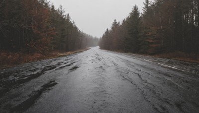 outdoors,sky,day,tree,no humans,nature,scenery,forest,road,bare tree,landscape,grey sky,cloud,cloudy sky,snow,path,pine tree