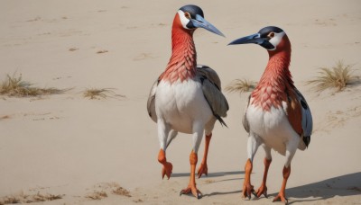 standing,full body,outdoors,day,orange eyes,pokemon (creature),no humans,shadow,bird,animal,realistic,animal focus,talons,beak,looking at viewer,closed mouth,grey background,grass,sand