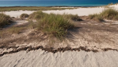 outdoors,sky,day,water,tree,blue sky,no humans,traditional media,grass,nature,scenery,reflection,sand,field,ocean,beach,plant,horizon,waves,landscape,shore