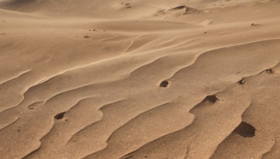 monochrome,outdoors,water,no humans,beach,scenery,rock,sand,sepia,shore,brown theme,desert,dust,day,realistic,footprints