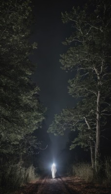 1girl,solo,long hair,standing,white hair,outdoors,from behind,tree,night,glowing,nature,scenery,forest,light,road,dark,lamppost,dress,sky,white dress,grass,night sky,1other,fantasy,silhouette,wide shot,ambiguous gender