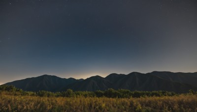 outdoors,sky,tree,no humans,night,grass,star (sky),nature,night sky,scenery,forest,starry sky,mountain,field,landscape,mountainous horizon,gradient sky