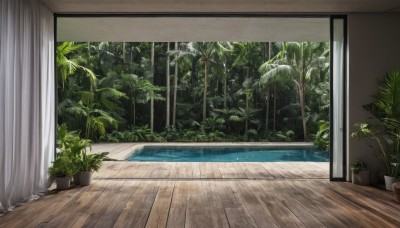 day,indoors,water,tree,no humans,window,sunlight,plant,curtains,nature,scenery,wooden floor,potted plant,flower pot,bush