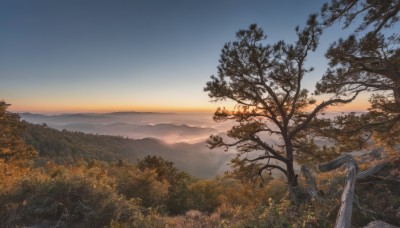 outdoors,sky,day,cloud,tree,blue sky,no humans,nature,scenery,forest,sunset,mountain,bare tree,landscape,sunlight,plant,sun,horizon,evening,sunrise