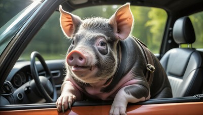 HQ,solo,shirt,tongue,artist name,signature,bag,blurry,black eyes,no humans,depth of field,blurry background,animal,ground vehicle,motor vehicle,realistic,car,animal focus,mouse,whiskers,driving,car interior,steering wheel,seatbelt,looking at viewer,closed mouth,day