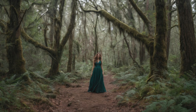 1girl, solo, long hair, brown hair, dress, outdoors, tree, nature, scenery, forest