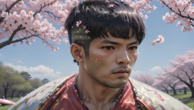 solo,short hair,black hair,1boy,brown eyes,upper body,male focus,outdoors,parted lips,japanese clothes,sky,day,cloud,black eyes,tree,blue sky,lips,petals,facial hair,grass,cherry blossoms,portrait,beard,realistic,nose,stubble,blush,hair ornament,closed mouth,flower