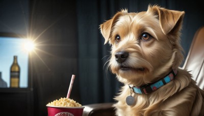 HQ,solo,brown eyes,food,indoors,blurry,collar,cup,no humans,window,animal,bottle,looking up,dog,drinking straw,realistic,animal focus,whiskers,shiba inu,popcorn,pet,depth of field,blurry background,drink,animal collar