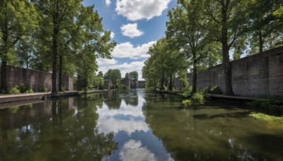 outdoors,sky,day,cloud,water,tree,blue sky,no humans,cloudy sky,grass,building,nature,scenery,reflection,ruins,puddle,reflective water,plant,road,bush