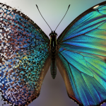 ai image upscaling