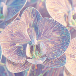 ai visuals