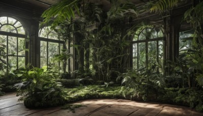 day,indoors,tree,no humans,window,leaf,sunlight,plant,nature,scenery,ruins,vines,green theme,moss,overgrown,wooden floor