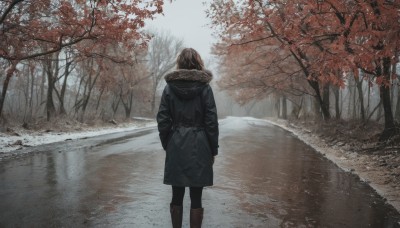 1girl,solo,short hair,brown hair,long sleeves,standing,jacket,pantyhose,outdoors,day,hood,from behind,tree,coat,black pantyhose,fur trim,feet out of frame,hood down,nature,scenery,snow,forest,reflection,walking,hand in pocket,black coat,hands in pockets,winter clothes,facing away,road,autumn leaves,winter,fur-trimmed coat,bare tree,autumn,hooded coat,winter coat,fur-trimmed hood,grey coat,long hair,boots,sky,water,black footwear,leaf,brown footwear,knee boots,lake,reflective water