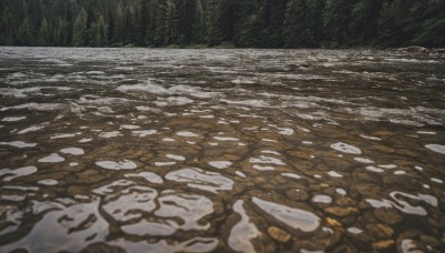 outdoors,day,water,tree,no humans,traditional media,nature,scenery,forest,rock,river,sky,night,ocean,grass,shore