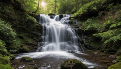 outdoors,day,water,tree,no humans,sunlight,nature,scenery,forest,rock,river,waterfall,moss,stream,plant,light rays,sunbeam,landscape