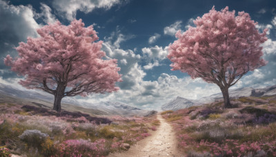 flower, outdoors, sky, day, cloud, tree, blue sky, no humans, cloudy sky, grass, cherry blossoms, nature, scenery, mountain, road, field, landscape, path