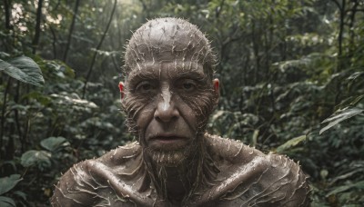 solo,looking at viewer,1boy,closed mouth,upper body,male focus,outdoors,armor,blurry,black eyes,tree,blurry background,facial hair,plant,portrait,nature,forest,realistic,alien,no humans,leaf