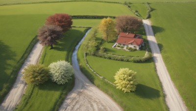 flower,outdoors,day,tree,no humans,shadow,from above,grass,plant,building,nature,scenery,road,bush,house,path,forest,fence,field,landscape