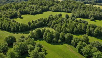 outdoors,sky,day,tree,no humans,traditional media,grass,nature,scenery,forest,road,bush,green theme,river,landscape,path,field