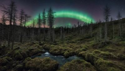 outdoors,sky,cloud,water,tree,no humans,night,grass,star (sky),nature,night sky,scenery,forest,starry sky,reflection,rock,river,landscape,aurora,waterfall