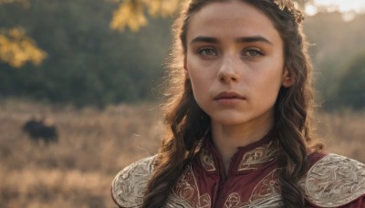 1girl,solo,long hair,looking at viewer,brown hair,brown eyes,closed mouth,upper body,outdoors,armor,blurry,lips,depth of field,blurry background,wavy hair,expressionless,chinese clothes,portrait,freckles,curly hair,realistic,nose,day,tree,sunlight,thick eyebrows,shoulder armor