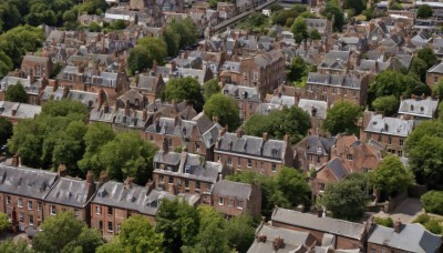 outdoors,tree,no humans,window,from above,building,nature,scenery,forest,stairs,city,road,cityscape,house,river,town,multiple boys,day,6+boys,bush,rooftop,chimney