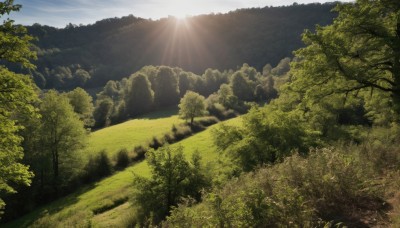 outdoors,sky,day,cloud,tree,blue sky,no humans,sunlight,grass,nature,scenery,forest,light rays,mountain,sun,landscape,cloudy sky,bush