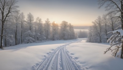 outdoors,sky,cloud,tree,no humans,sunlight,nature,scenery,snow,forest,sunset,mountain,sun,road,winter,bare tree,landscape,sunrise,footprints