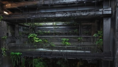 outdoors,day,water,tree,no humans,window,plant,building,scenery,rain,stairs,ruins,vines,moss,overgrown,broken window,indoors,industrial pipe