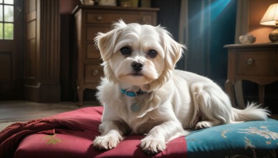 HQ,solo,looking at viewer,blue eyes,day,indoors,collar,pillow,no humans,window,bed,animal,leaf,table,sunlight,curtains,claws,dog,realistic,door,blanket,lamp,autumn leaves,maple leaf,bedroom,animal focus,animal collar,rug,lying,on bed,light rays