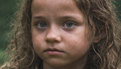 1girl,solo,long hair,looking at viewer,blonde hair,brown hair,closed mouth,green eyes,blurry,lips,grey eyes,eyelashes,wavy hair,expressionless,messy hair,portrait,close-up,forehead,freckles,realistic,nose,brown eyes