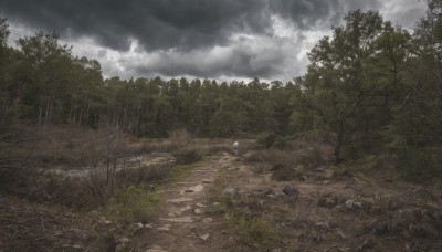 1girl,solo,dress,outdoors,sky,day,cloud,tree,cloudy sky,grass,nature,scenery,forest,rock,landscape