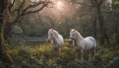 outdoors,day,tree,no humans,animal,sunlight,grass,plant,nature,scenery,forest,light rays,realistic,horse,signature,water,leaf,branch,sunbeam,deer