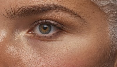 solo,looking at viewer,1boy,brown eyes,male focus,eyelashes,close-up,realistic,eye focus,yellow eyes,no humans,portrait,brown theme