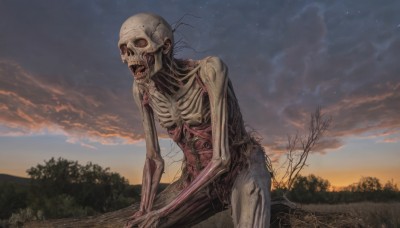 solo,open mouth,outdoors,sky,teeth,cloud,tree,no humans,nature,1other,monster,realistic,ribs,skeleton,bone,alien,horror (theme),sitting,night,cloudy sky,grass,star (sky),scenery,starry sky,sunset,twilight