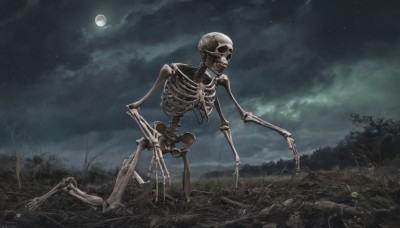 solo,outdoors,sky,cloud,tree,no humans,night,moon,cloudy sky,star (sky),nature,night sky,scenery,full moon,starry sky,skull,ribs,skeleton,bone,grass,dark,moonlight