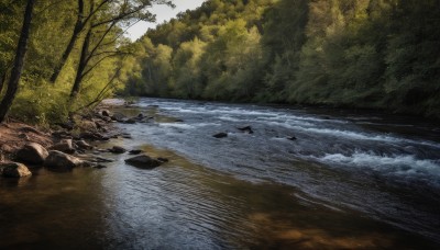 outdoors,day,water,tree,no humans,sunlight,grass,nature,scenery,forest,rock,river,landscape,shore,sky,cloud,ocean,beach,bush,waves