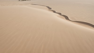 solo,outdoors,water,no humans,beach,scenery,sand,shore,desert,day,close-up,realistic,brown theme