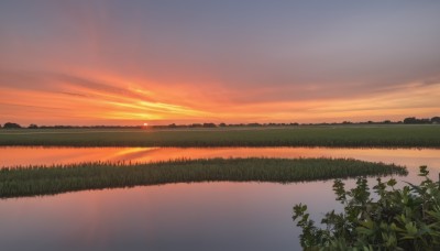 outdoors,sky,cloud,water,tree,no humans,cloudy sky,grass,plant,nature,scenery,reflection,sunset,sun,horizon,river,evening,lake,gradient sky,orange sky,leaf,twilight,landscape,red sky,reflective water