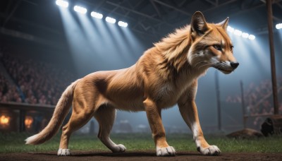 brown eyes,standing,full body,indoors,blurry,pokemon (creature),no humans,blurry background,animal,grass,claws,dog,realistic,animal focus,brown fur,stadium,outdoors,signature,ground vehicle,motor vehicle,light