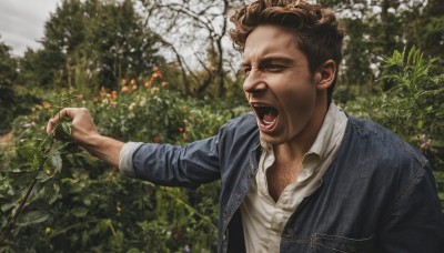 solo,short hair,open mouth,brown hair,shirt,1boy,holding,jacket,closed eyes,white shirt,upper body,flower,male focus,outdoors,open clothes,teeth,collared shirt,blurry,open jacket,tree,blurry background,facial hair,plant,denim,blue jacket,nature,realistic,branch,photo background,denim jacket,day,dress shirt,parody,grass,sleeves rolled up,curly hair,music,singing,shouting,screaming